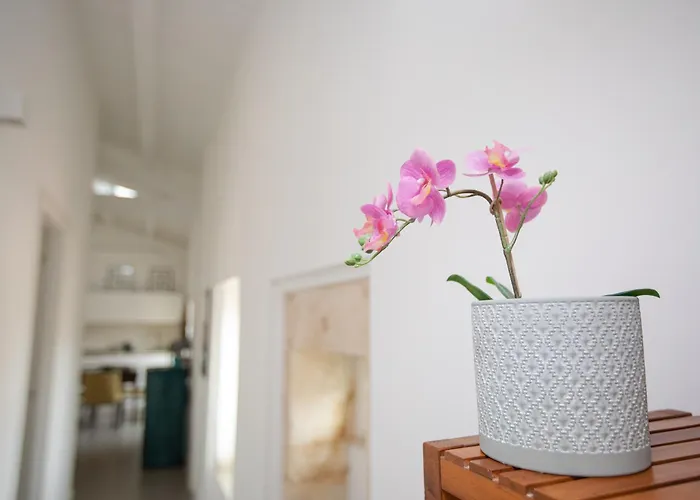 Casa Cadur בית נופש סירקוזה